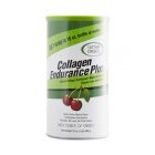 Great Lakes Gelatin - Collagen Endurance PLUS (Cherry) - 454g