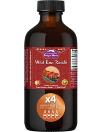 Dragon Herbs Wild Red Reishi Drops 240ml (8floz)